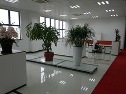 辦公室裝修 ,上海天瀾建筑裝飾工程有限